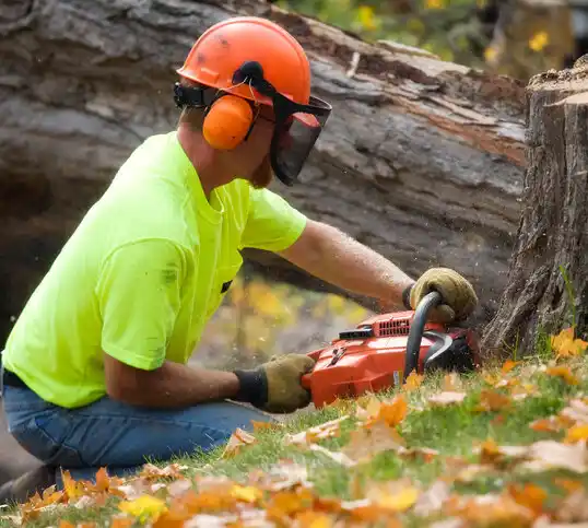 tree services Mackinac Island